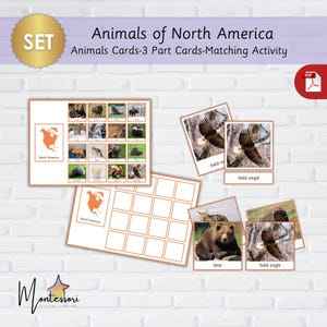 North America Animals-Montessori North American Animals-Printable North America Animals 3-Part Cards-Matching Activity-Wildlife Cards