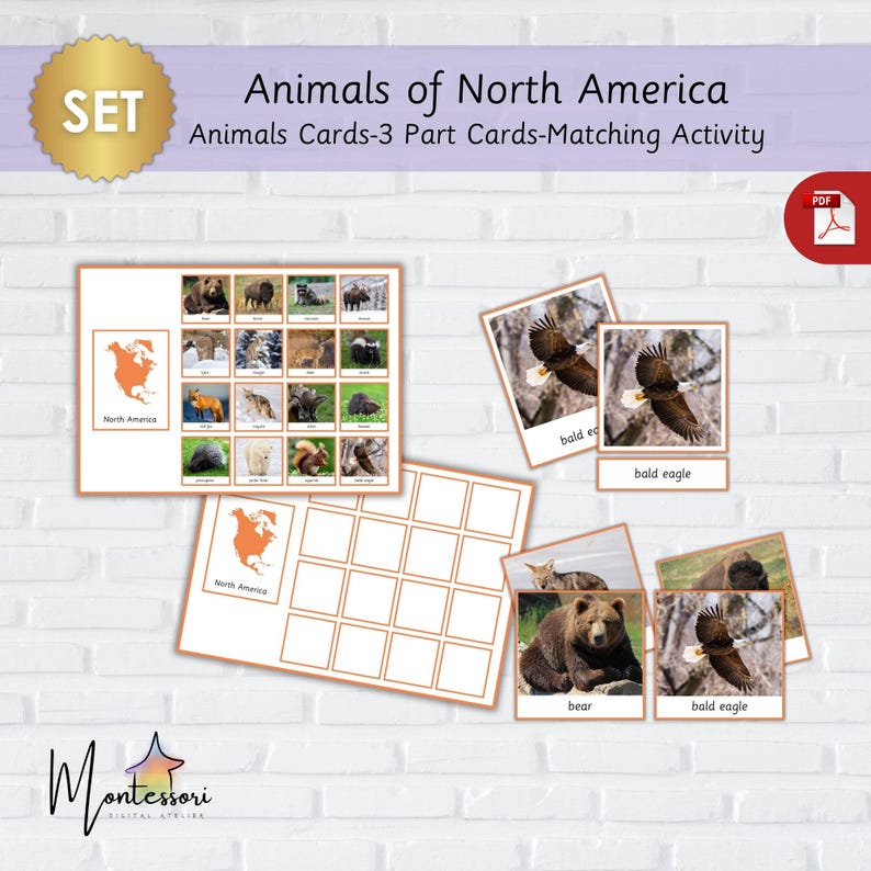 North America Animals-montessori North American Animals-printable North ...