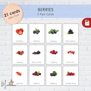 BERRIES-Montessori Fruits FlashCards for Kids–Berry Fruits-Berries FlashCards-Fruits FlashCards-3 Part Cards-Berries-Red Fruits