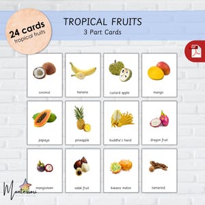 TROPICAL FRUITS-Montessori Fruits FlashCards for Kids–Tropical Fruits-Tropical Fruits FlashCards-Fruits FlashCards-3 PartCards-Exotic Fruits