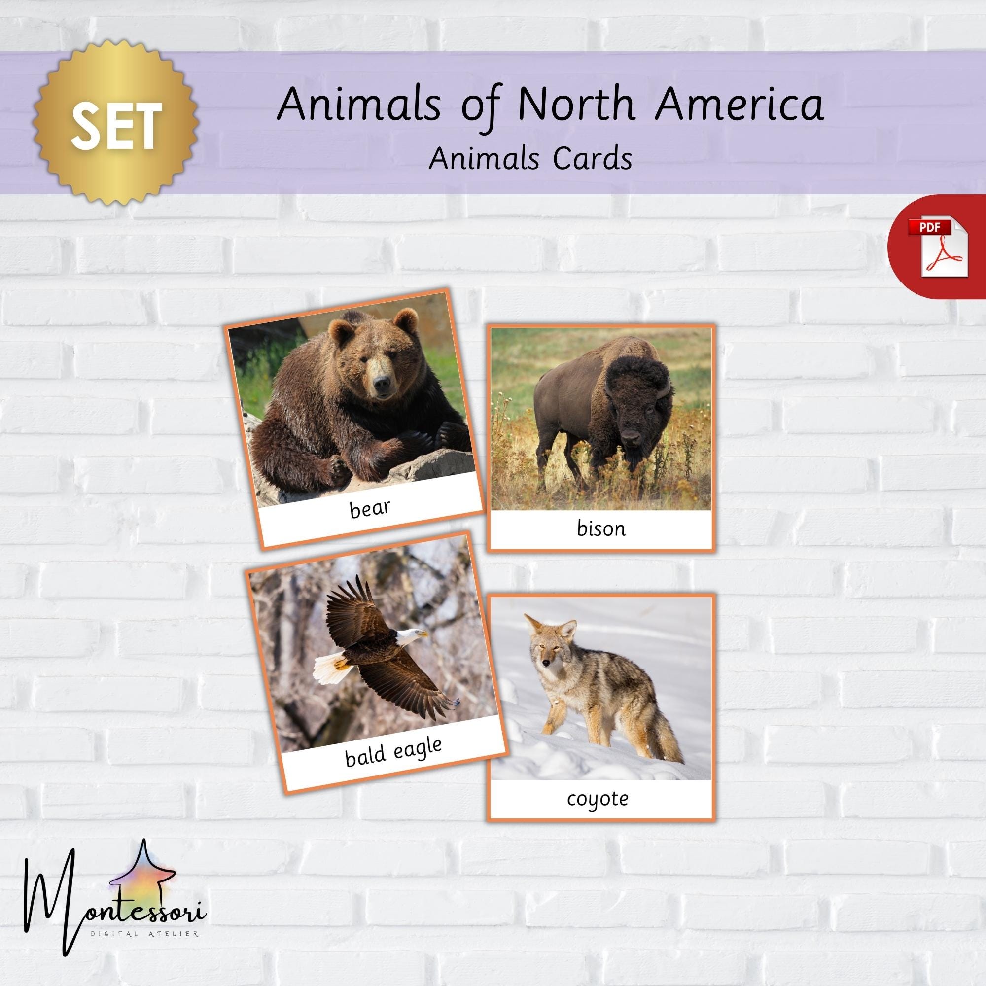 North America Animals-montessori North American Animals-printable North ...