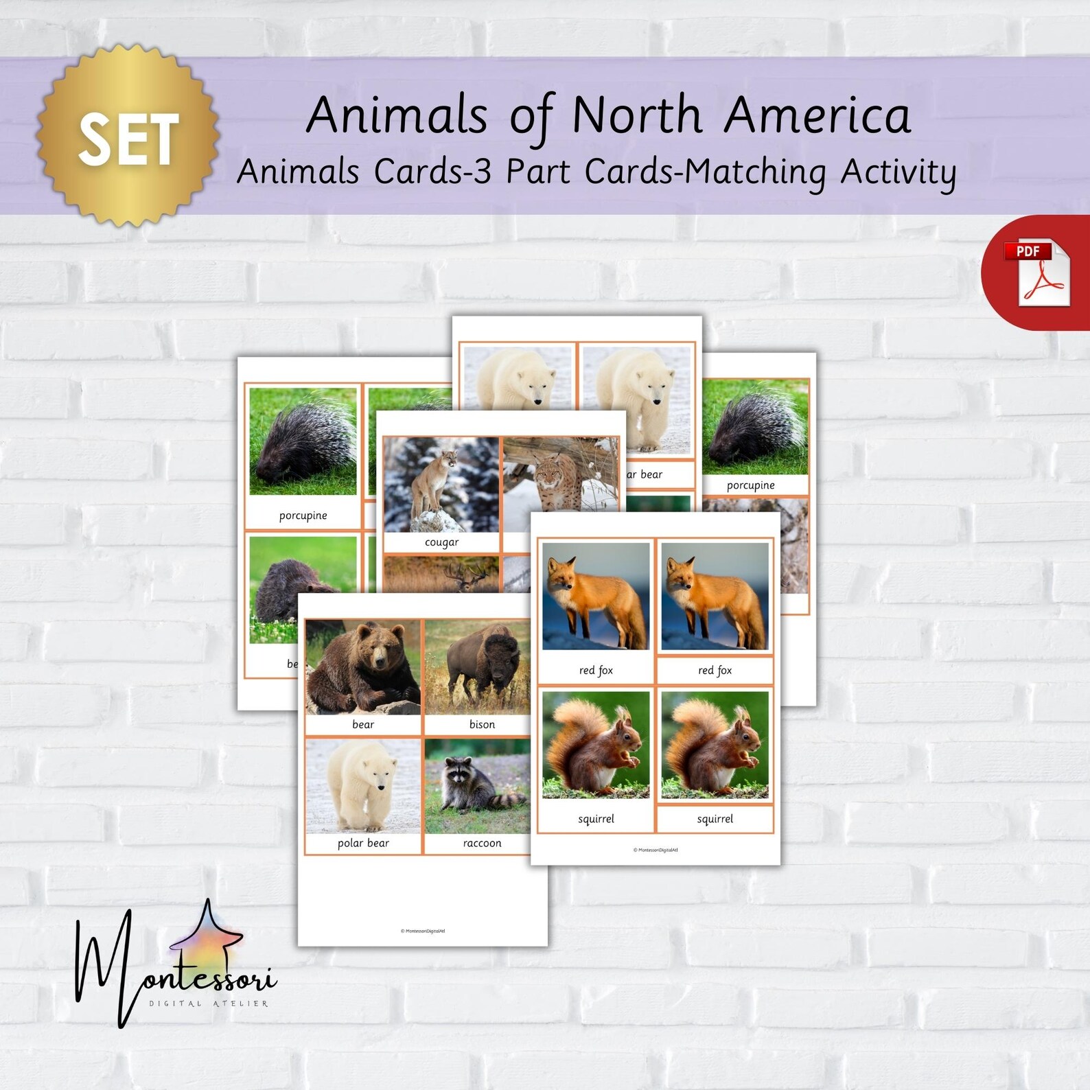 North America Animals-montessori North American Animals-printable North ...