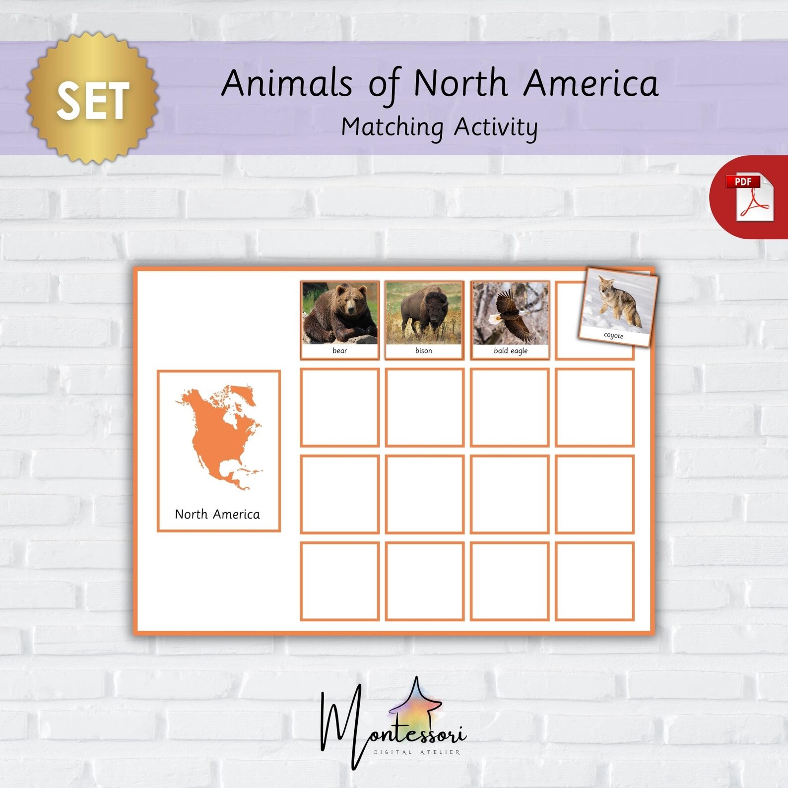 North America Animals-montessori North American Animals-printable North ...