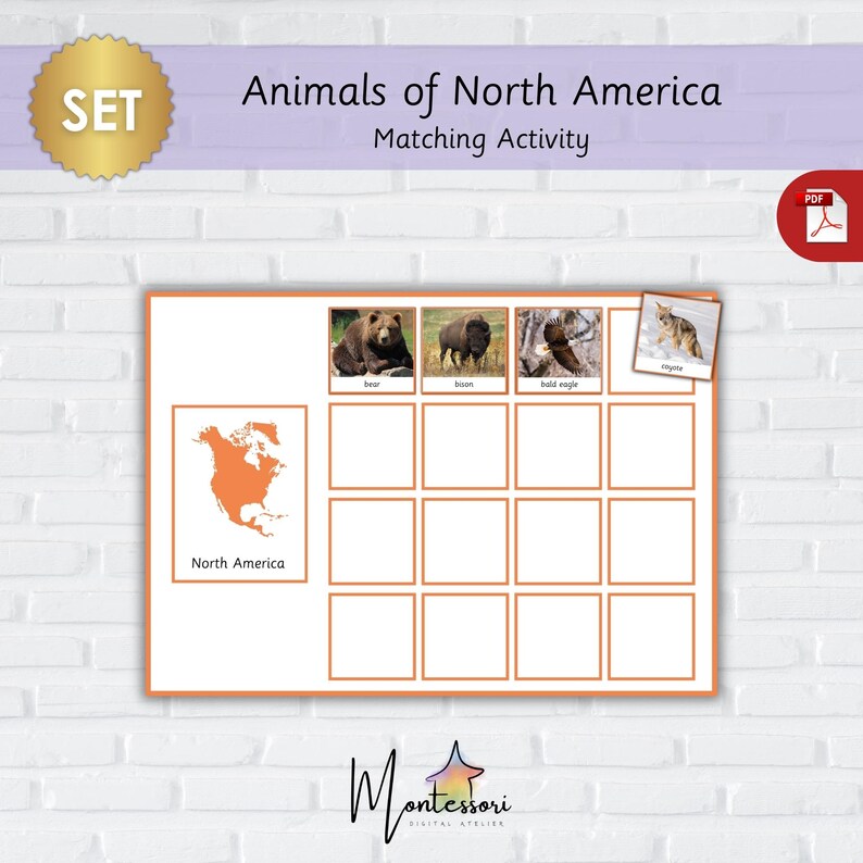 North America Animals-montessori North American Animals-printable North ...