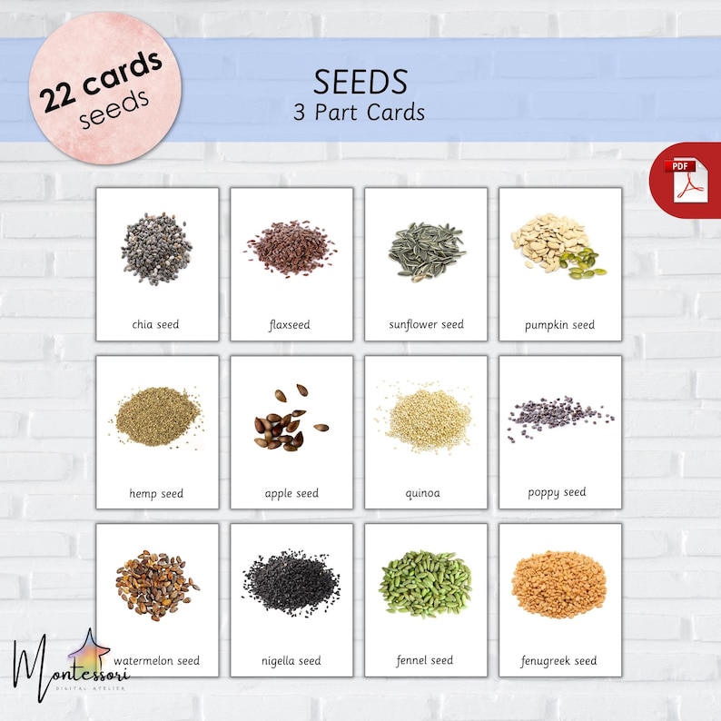 Montessori Seeds Flashcards: 3-part Cards, Seed Identification (PDF ...