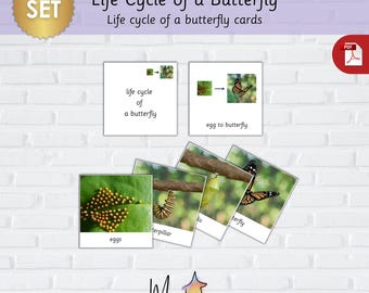 Schmetterling Lebenszyklus Karten-Lebenszyklus eines Schmetterlings Karten-Druckbare Schmetterling Lebenszyklus Karten-Montessori Schmetterling Lebenszyklus Karten