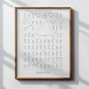 The Shape of Speed | Formula 1 Tracks Illustration | All 77 Circuits Drawn to Scale