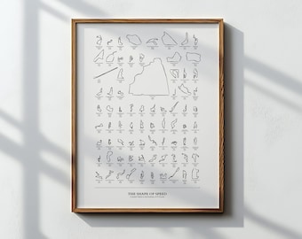 The Shape of Speed | Formula 1 Tracks Illustration | All 77 Circuits Drawn to Scale