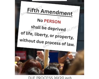Protestposter due process vijfde amendement: bord anti-Trump rally (digitale download 16 x 20)