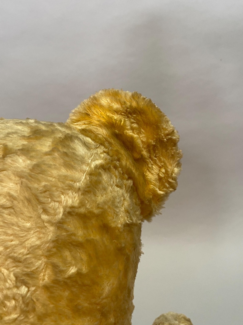 May include: Close-up of a plush teddy bear's ear, showing the soft, golden fur. The ear is slightly curled and has a fluffy texture.