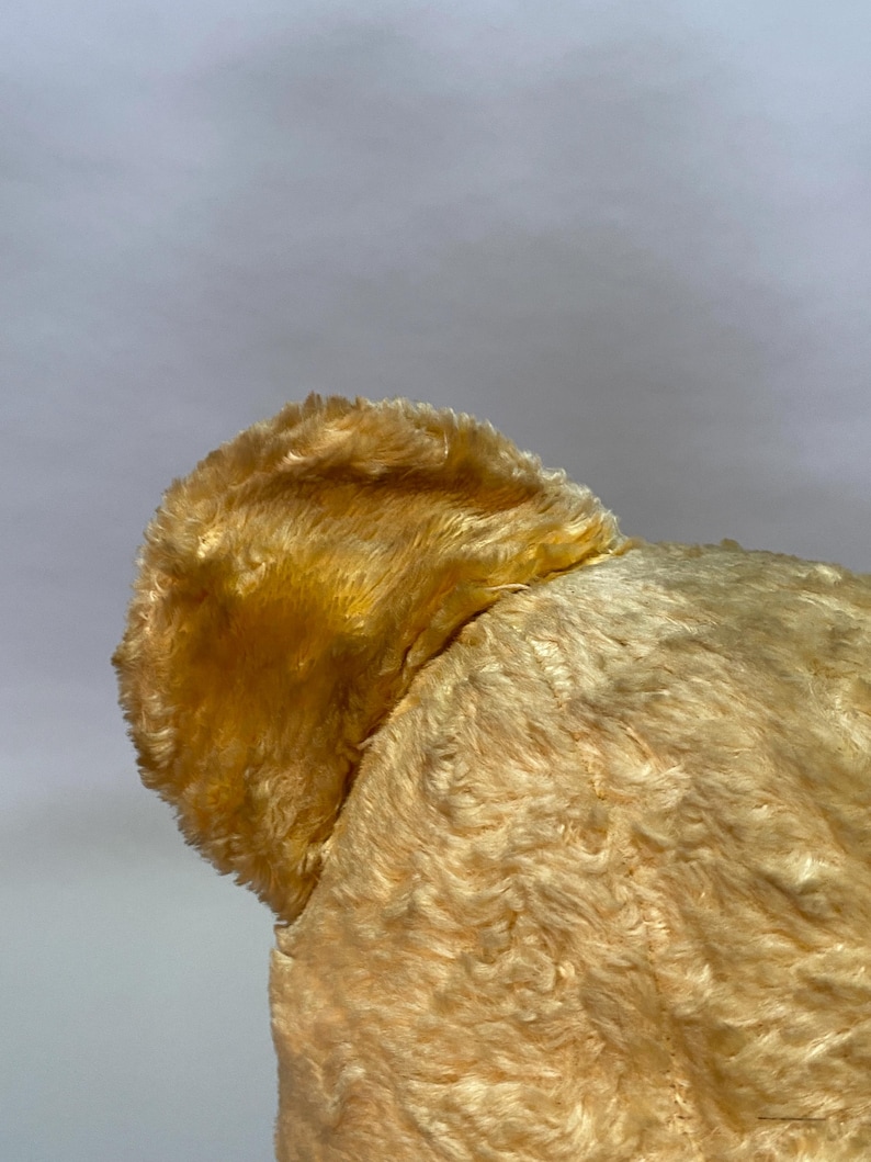 May include: Close-up of a plush toy's ear, showing soft, light brown fur. The ear is slightly angled and the fur is fluffy.