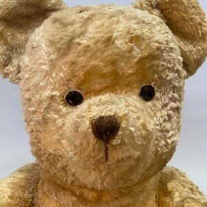 May include: A close-up of a beige teddy bear with black eyes and a brown stitched nose. The bear has a soft, plush fur.