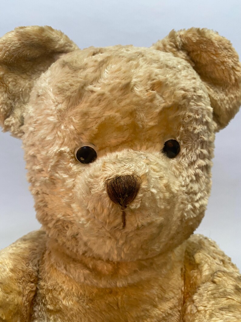 May include: A close-up of a beige teddy bear with black eyes and a brown stitched nose. The bear has a soft, plush fur.