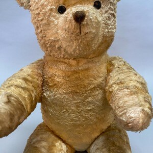 May include: A vintage, tan teddy bear with black button eyes and a brown nose. The bear is sitting with its arms outstretched.
