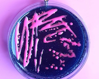 Petri Dish Keychain, Glows under UV Light, Corynebacterium, Microbiology Gift for Scientist,Cute Microbe Keyring, Dermatology and Laboratory