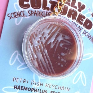 Llavero de placa de Petri, Haemophilus en agar chocolate, insignia de bacterias, regalo de microbiología para científicos, llavero de microbio adorable, regalo de salud pública