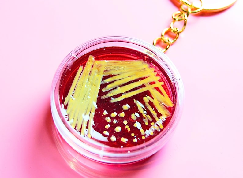 May include: A circular keychain featuring a clear plastic petri dish filled with a deep red translucent substance. Inside the dish are yellow streaks and small yellow dots resembling bacterial colonies, attached to a gold-toned metal chain.