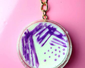 Petri Dish Keychain inspired by Microbiology, Salmonella on Chrome Edition, Cute Gift for Lab Techs, PhD Student or Scientist