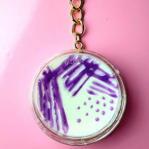 Könnte beinhalten: Ein runder, klarer Schlüsselanhänger mit einer goldenen Kette und einem Verschluss. Der Schlüsselanhänger hat ein Petrischalen-Design mit lila Streifen und Punkten auf hellgrünem Hintergrund. Das Wort "FALCON" ist auf der Schale aufgedruckt.