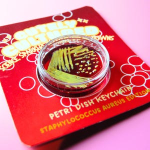 May include: A circular clear plastic petri dish keychain featuring a deep red base with yellow streak patterns and small yellow dots. It is mounted on a red display card with white text reading "CULTURED SCIENCE SPARKLES" and "PETRI DISH KEYCHAIN STAPHYLOCOCCUS AUREUS EDITION".