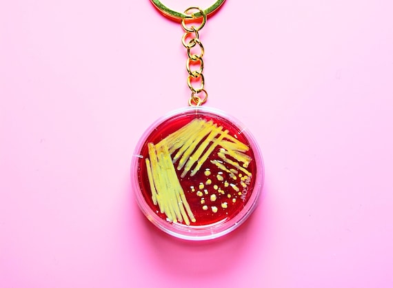 Petri Dish Keychain, Microbiology Bacteria Keyring, Cute Gift for PhD Student, Lab Technician or Scientist, Staphylococcus aureus Edition