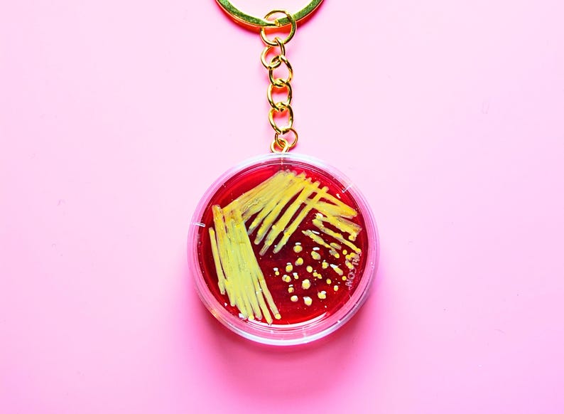 May include: A circular keychain featuring a miniature petri dish with a deep red agar base and yellow bacterial colonies streaked across the surface. The clear plastic dish is attached to a gold-toned metal chain and a circular split ring.