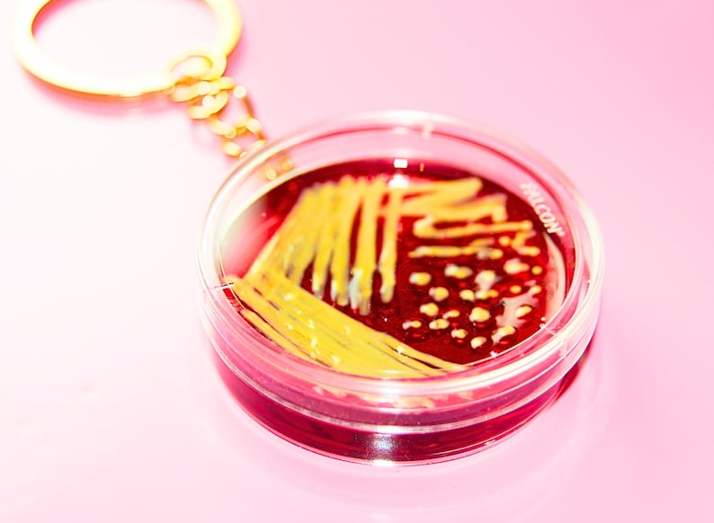 May include: A circular keychain featuring a clear plastic petri dish containing a deep red agar base with yellow bacterial colonies streaked across the surface. The word FALCON is printed in white on the edge of the clear plastic container.