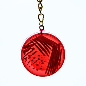 May include: A circular keychain featuring a clear, red-tinted petri dish design. Inside the dish, dark red streaks and small dots mimic bacterial growth patterns. The pendant is attached to a gold-toned metal chain and a circular jump ring.
