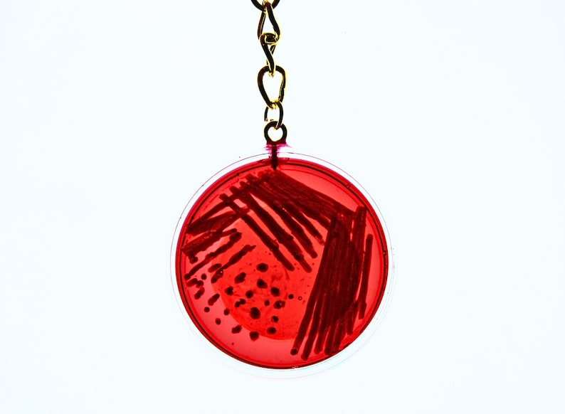 May include: A circular keychain featuring a clear, red-tinted petri dish design. Inside the dish, dark red streaks and small dots mimic bacterial growth patterns. The pendant is attached to a gold-toned metal chain and a circular jump ring.