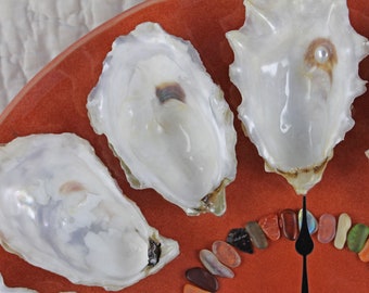 Oysters on the Half Shell Wall Clock - Autumn Harvest