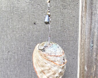 Large Abalone Shell Fan/Light Pull