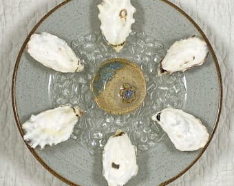 May include: A decorative plate with a light blue rim and a brown edge, holding six oyster shells and a small ceramic bowl. The bowl has a turtle design and is surrounded by clear, crushed glass.
