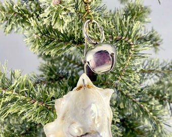 50% Discount - Jingle Bell Oyster Shell Ornaments