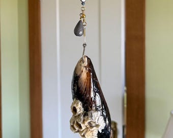 May include: A hanging seashell wind chime. The shell is dark brown and black with white barnacles. It is suspended by a silver hook and a beaded chain with gold and dark beads.