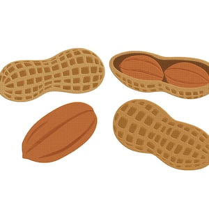 May include: Illustration of peanuts, including whole and shelled versions. The image shows two whole peanuts, one peanut shell open with two peanuts inside, and a single peanut. The peanuts are brown and tan.