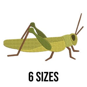 May include: Green and brown embroidered grasshopper with 6 sizes text below.