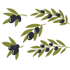 Könnte beinhalten: Illustration von Olivenzweigen mit grünen Blättern und schwarzen Oliven. Das Bild zeigt mehrere Olivenzweige, perfekt für kulinarische oder dekorative Zwecke. Die Oliven haben ein glänzendes Aussehen.