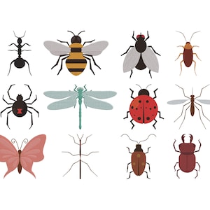 May include: A collection of colorful insect illustrations, including a black ant, a yellow and black bee, a fly, a brown cockroach, a black spider, a dragonfly, a ladybug, a mosquito, a pink butterfly, a stick insect, a beetle, and a dark red beetle.