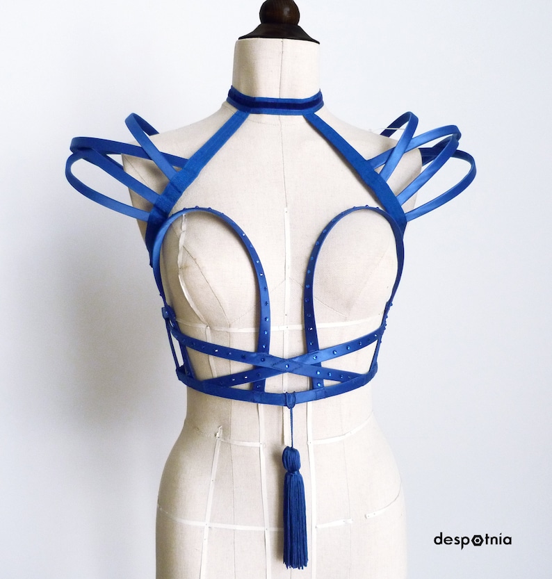 Blue Cage Bustier/ Burningman/ Burlesque Bustier/ Circus/ Kawaii/ Cosplay/ / Valentines Bustier/ Easter Bustier/ Mermaid Bustier image 1