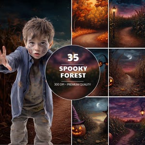 Spooky Forest Backdrops | Misty Woodland Digital Backgrounds | Enchanted Foggy Forest Scene | Autumn Path Photoshop Backdrop