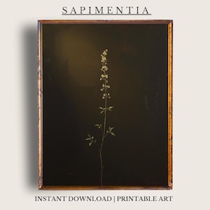 May include: A framed botanical print featuring a slender plant with delicate white flowers against a dark background. The frame has a gold-colored trim. The text "SAPIMENTIA" is at the top, and "INSTANT DOWNLOAD | PRINTABLE ART" is at the bottom.