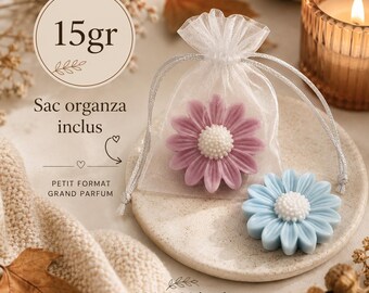 Pastillas de cera perfumadas con aroma a margarita – Cera vegetal artesanal – Fragancias de Grasse