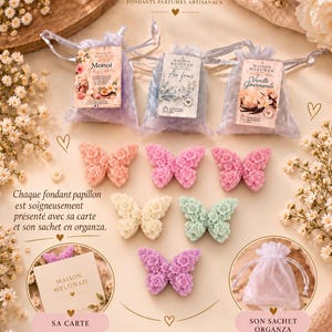 Puede incluir: Seis fundentes de cera con forma de mariposa en tonos melocotón, rosa, crema, verde menta y lavanda, con textura floral. Tres bolsas de organza están etiquetadas como Monoi Passion, Air frais y Vanille Gourmande. Incluye una tarjeta de marca.