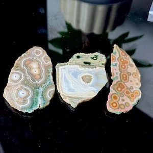 May include: Three polished, irregularly shaped stones with unique patterns. The stones display a variety of colors, including beige, green, orange, and white. The patterns resemble concentric circles and organic shapes, creating a natural and artistic appearance.