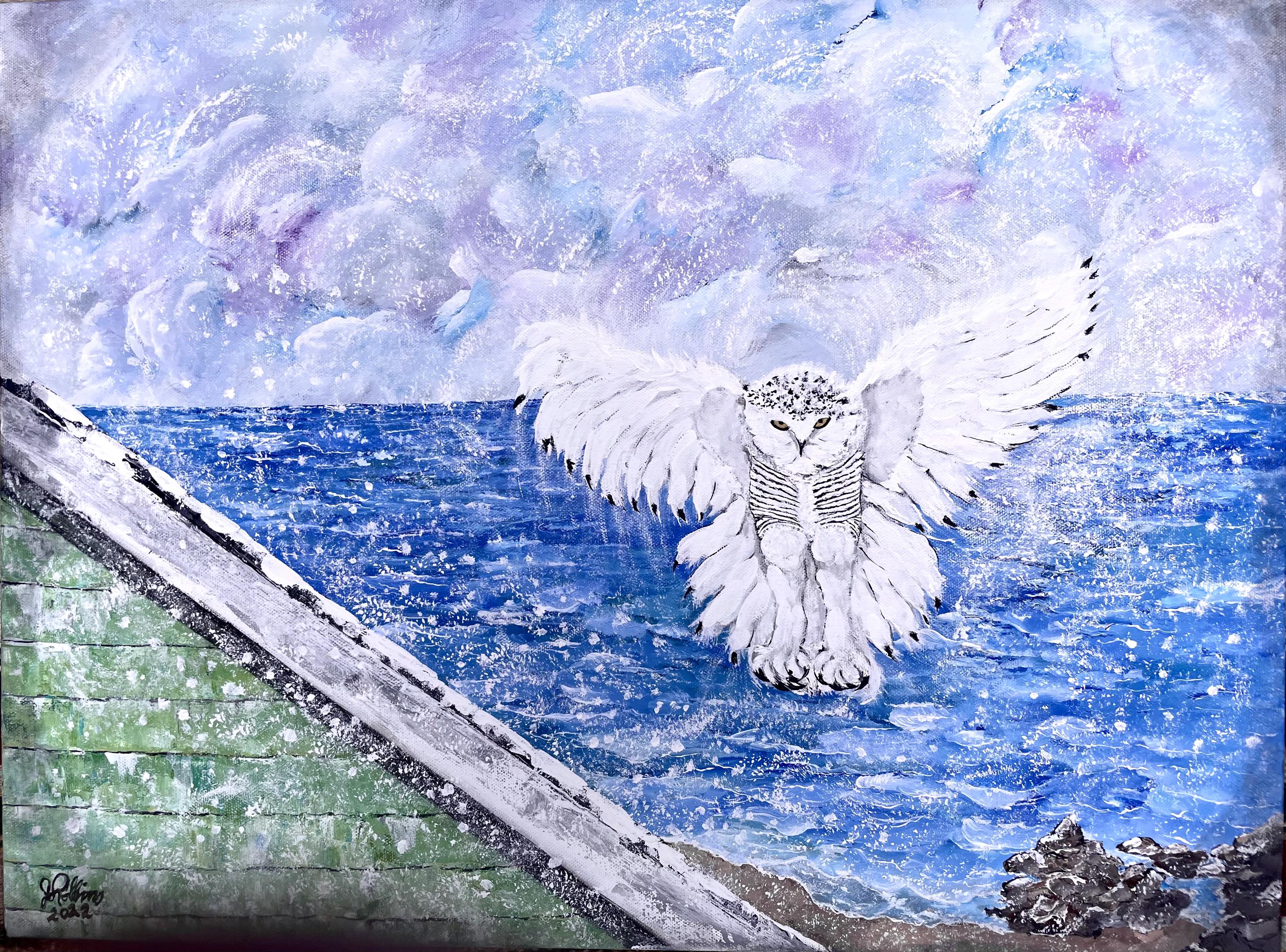 Snowy Owl at New Hampshire Seacoast