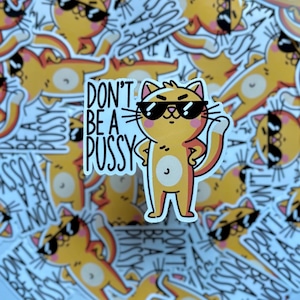 Don't Be A P*ssy - Lustiger Katzenaufkleber