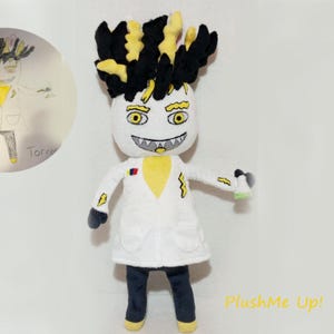 Custom made to order plush, crazy professor, toy, picture to toy, made to order , 40 cm