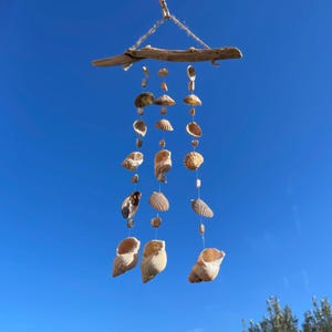 May include: A handcrafted seashell wind chime. The chime features a driftwood top with various seashells suspended by twine. The shells vary in size, shape, and color, creating a natural, coastal aesthetic. The background is a clear, bright blue sky.