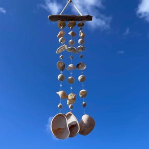 May include: A handcrafted seashell wind chime suspended from a piece of driftwood. The chime features various sizes and shapes of seashells, strung together with clear beads. The background is a bright blue sky with wispy clouds.