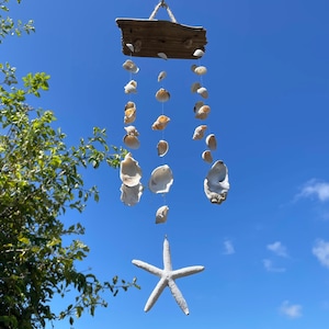 Star Fish Rustic Sea Shell Wind Chime Hanging Mobile ~ Natural Sea Shells ~ Drift Wood ~ Seaside Beach Nautical Theme ~ Gift Idea